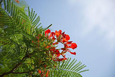 消息称育碧将于11日公开4款刺客信条游戏新作